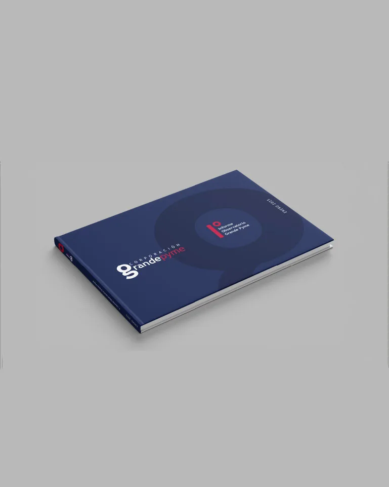 Corporación GrandePyme — imagen 3